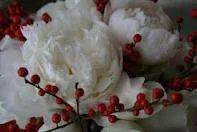 imagesCAIG5N7O.webp