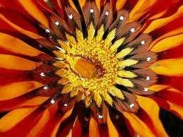 imagesCAK06MYV.webp