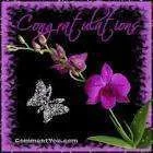 imagesCAL4EPXI.webp