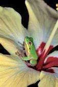 imagesCALCX3ZU.webp