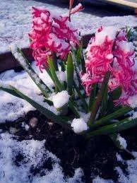 imagesCAMG9ZR0.webp