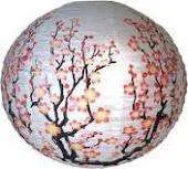 imagesCAMOF2G9.webp