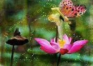 imagesCARY57AN.webp