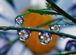 imagesCAW04BNE.webp