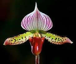 imagesCAYTRNO9.webp