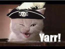 imagesCAZIBPCF.webp