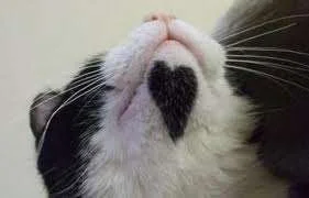 ImageUploadedByTapatalk1334247244.158142.webp