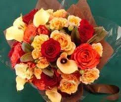 ImageUploadedByTapatalk1334247400.519198.webp