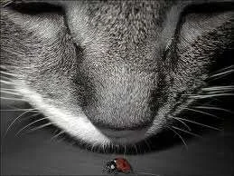 ImageUploadedByTapatalk1334248151.430521.webp