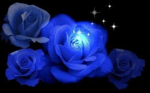 ImageUploadedByTapatalk1335704939.886763.webp
