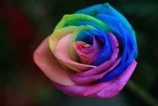 ImageUploadedByTapatalk1344460923.790825.webp