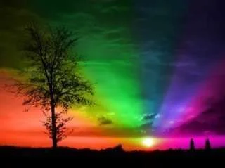 ImageUploadedByTapatalk1344460981.319431.webp