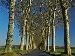 ImageUploadedByTapatalk1346887214.675406.webp