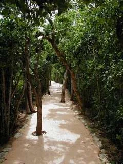 ImageUploadedByTapatalk1346887241.126818.webp