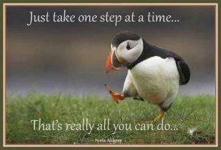 ImageUploadedByTapatalk1347013452.784777.webp