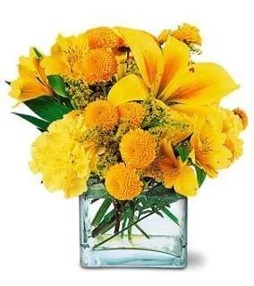 ImageUploadedByTapatalk1347152274.377804.webp