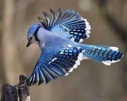 ImageUploadedByTapatalk1347235943.251967.webp