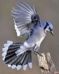 ImageUploadedByTapatalk1347755498.434824.webp