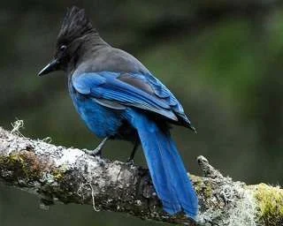 ImageUploadedByTapatalk1347755860.653138.webp
