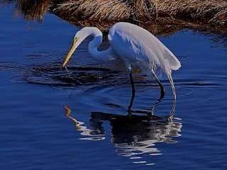 ImageUploadedByTapatalk1348783101.076592.webp