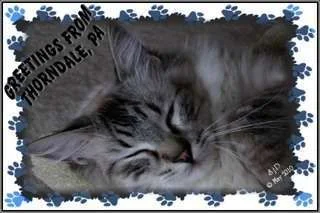 ImageUploadedByTapatalk1349380176.501953.webp