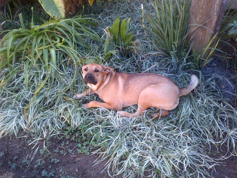 IMG-20130506-00693.webp