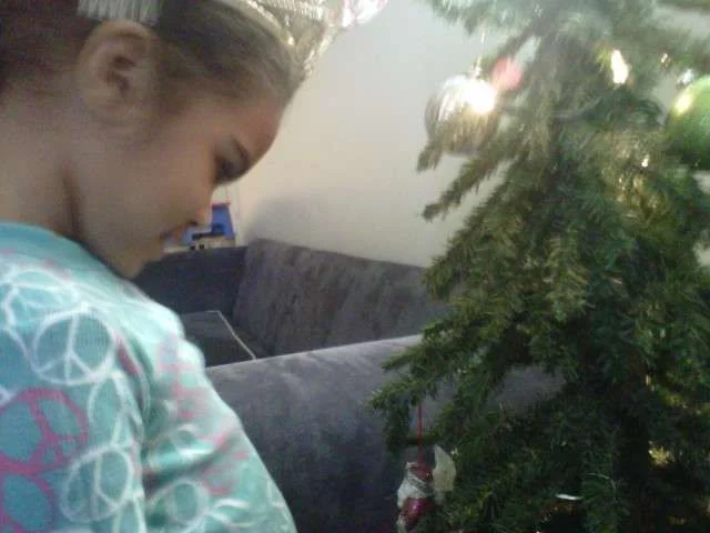IMG00711-20121210-0827.webp