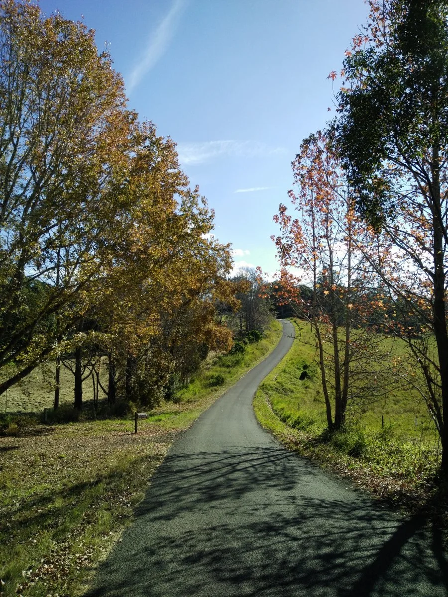 IMG20180624134243.webp