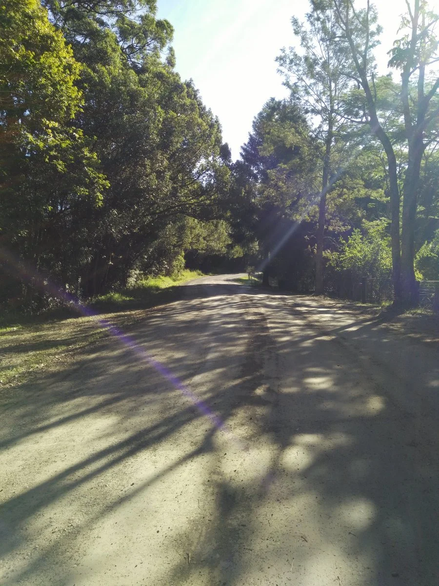 IMG20180624134930.webp