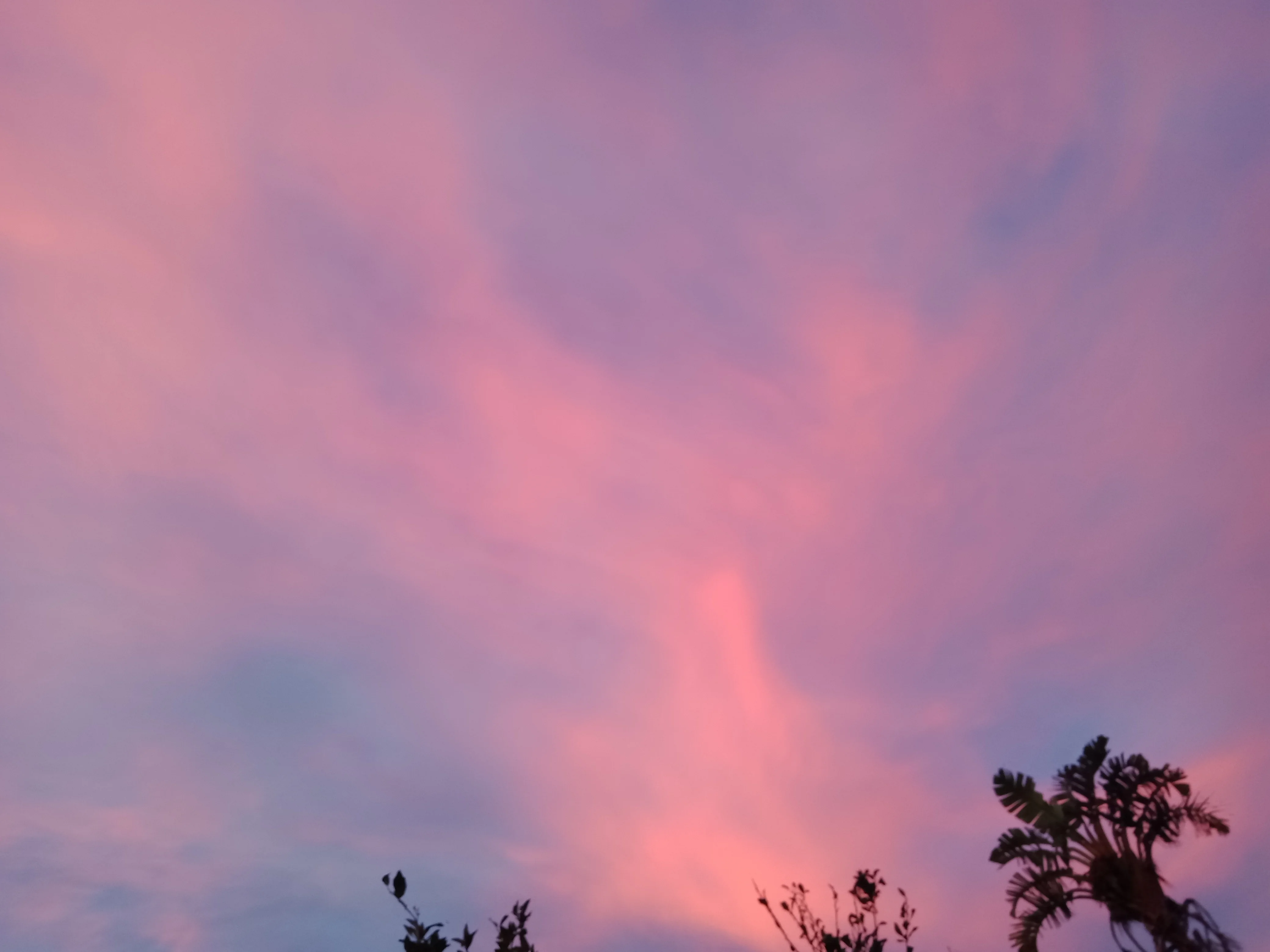 IMG20250125201642.webp