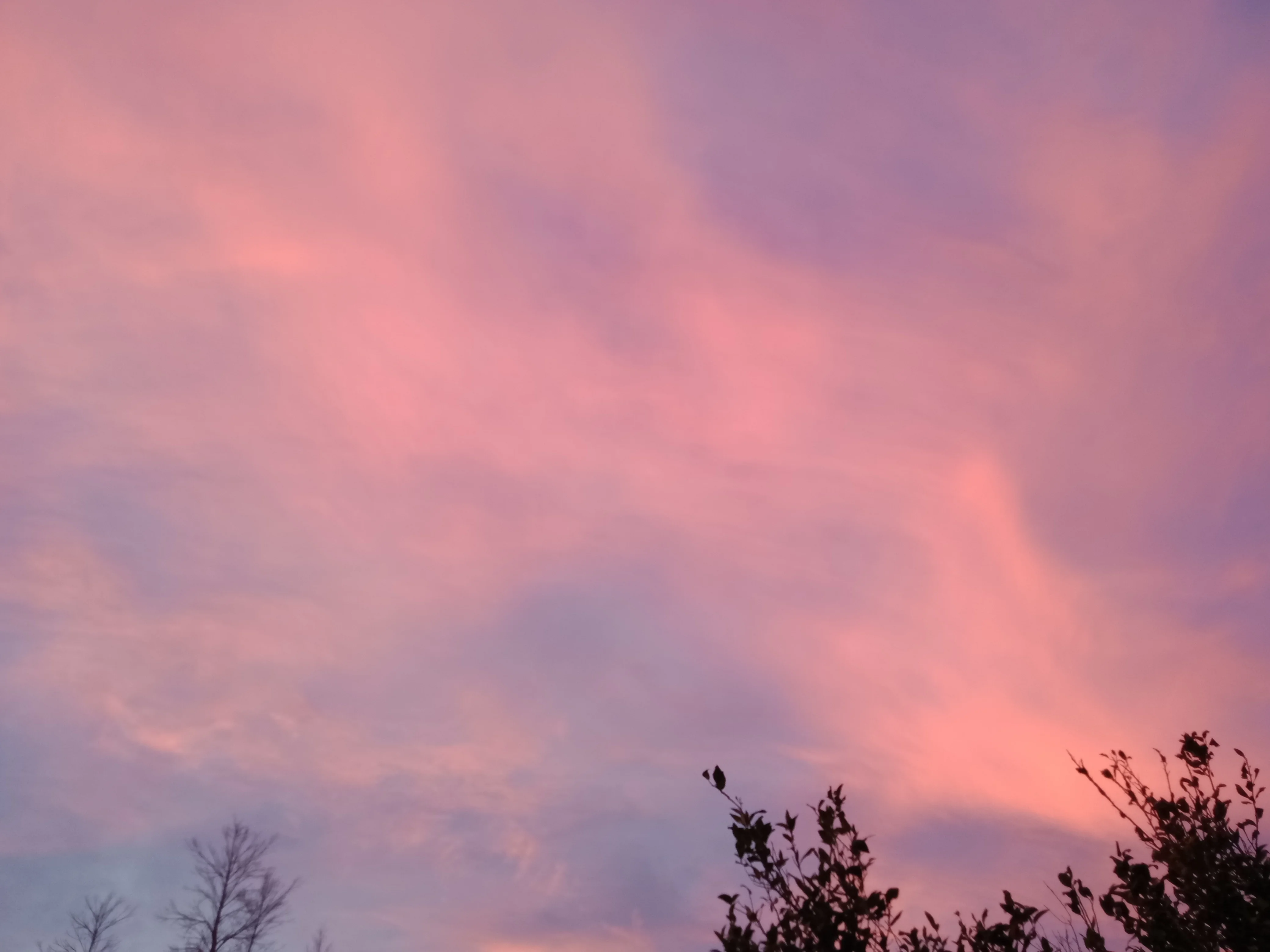 IMG20250125201645.webp