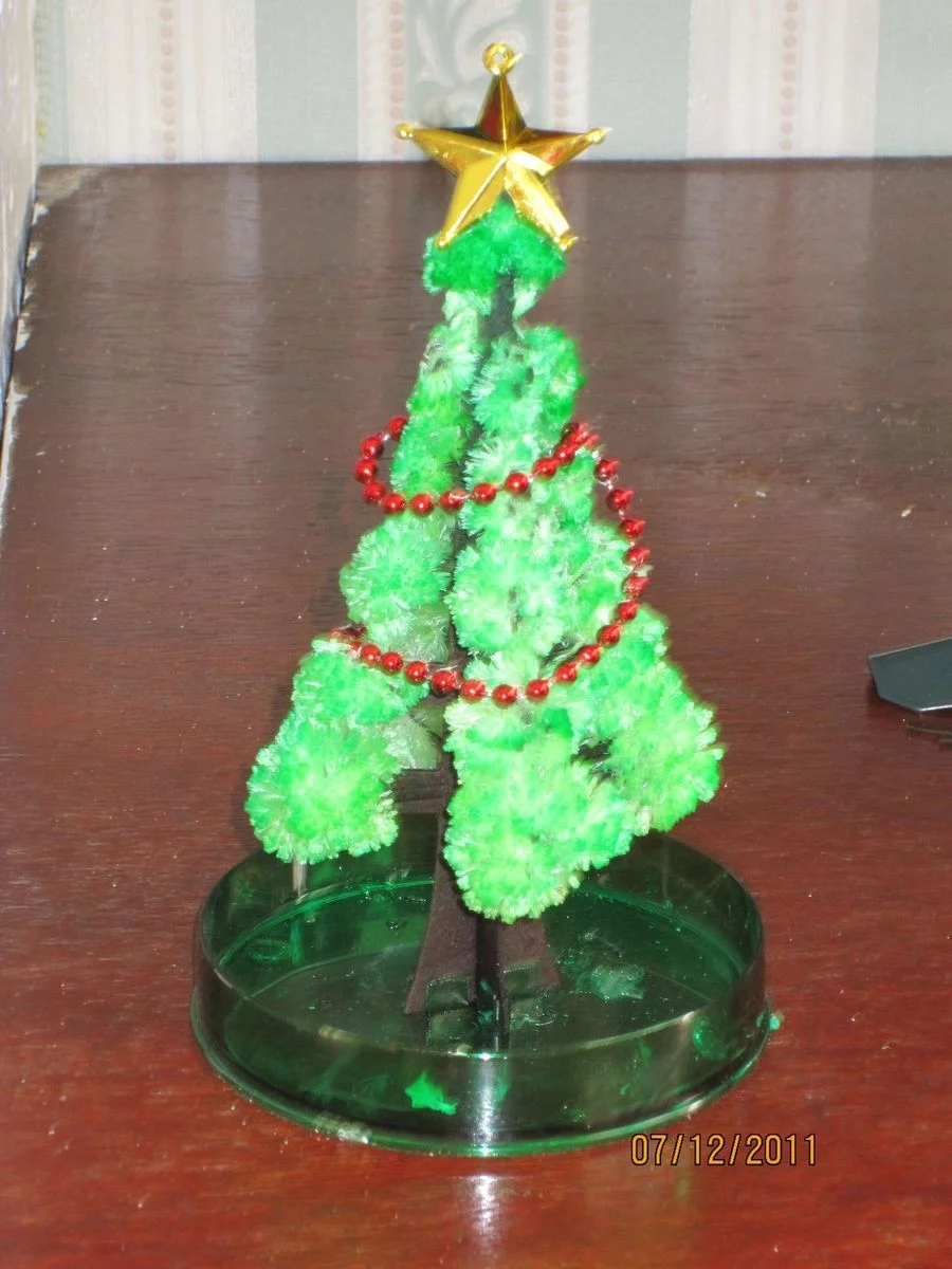 IMG_0013.webp