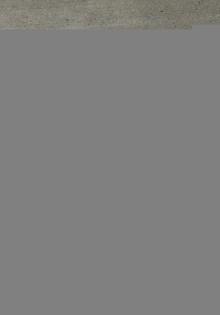 IMG_0017.webp
