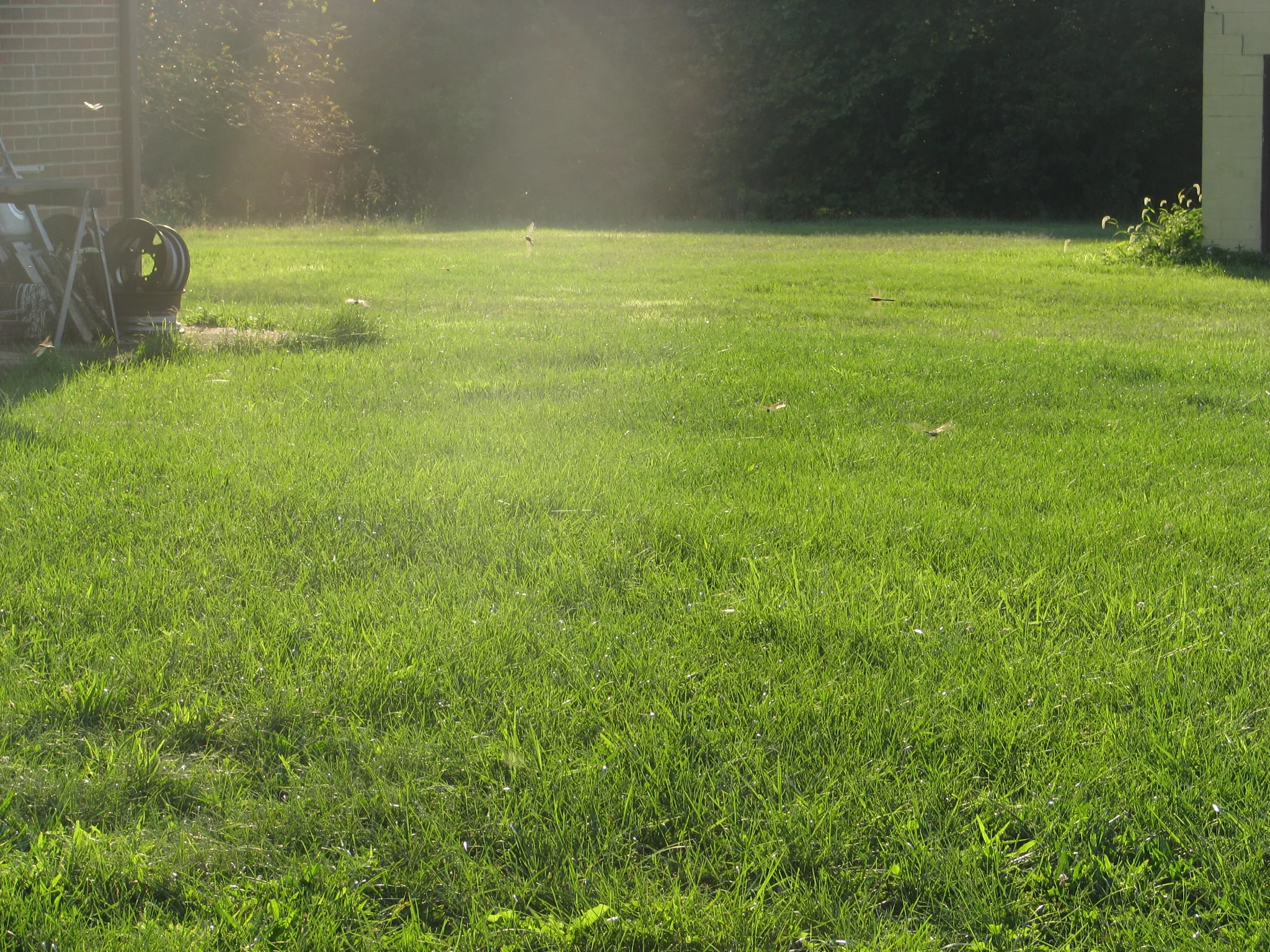 IMG_0149.webp
