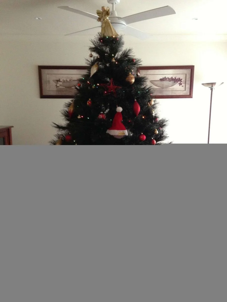 IMG_0232.webp