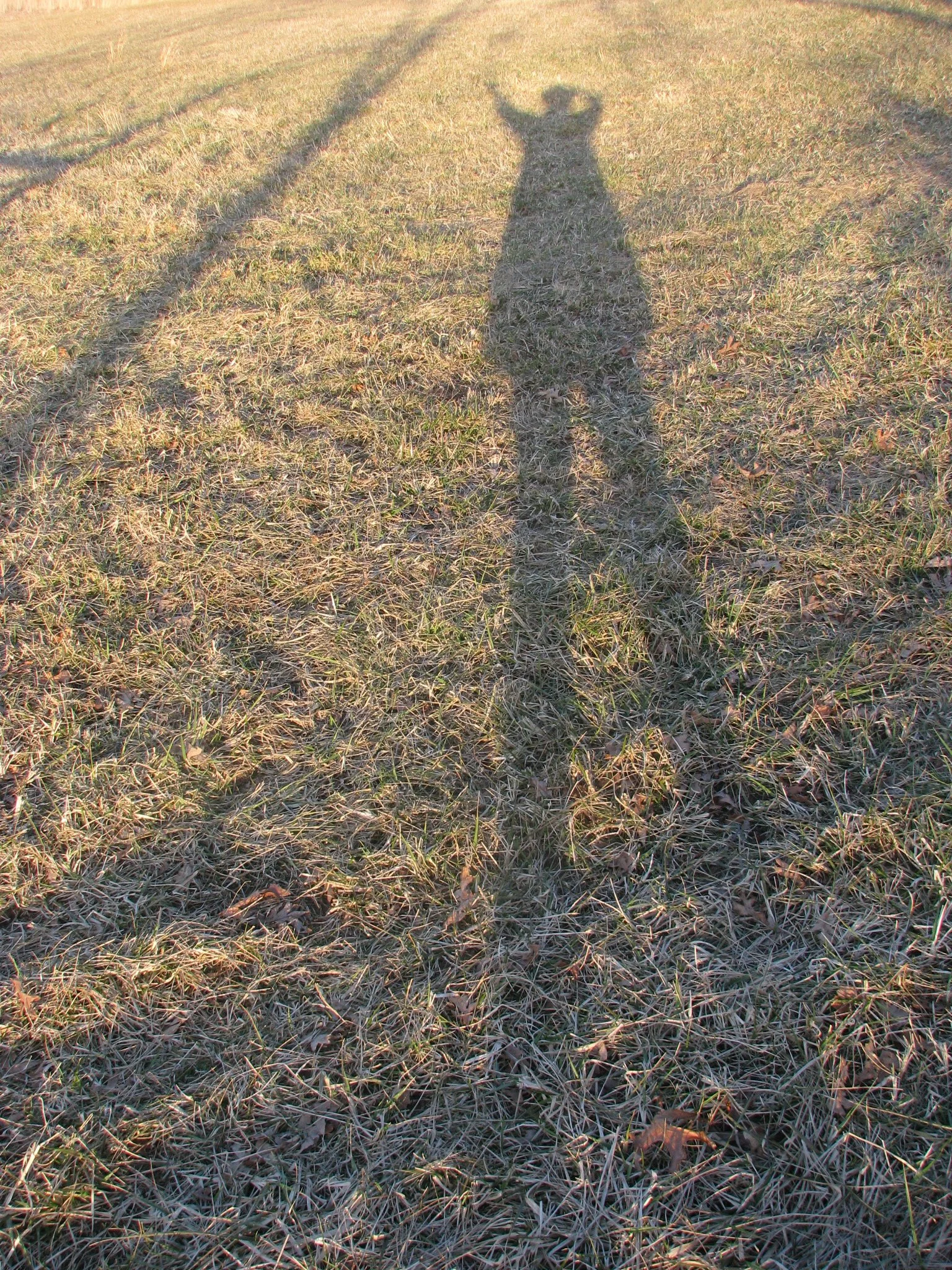 IMG_0297.webp