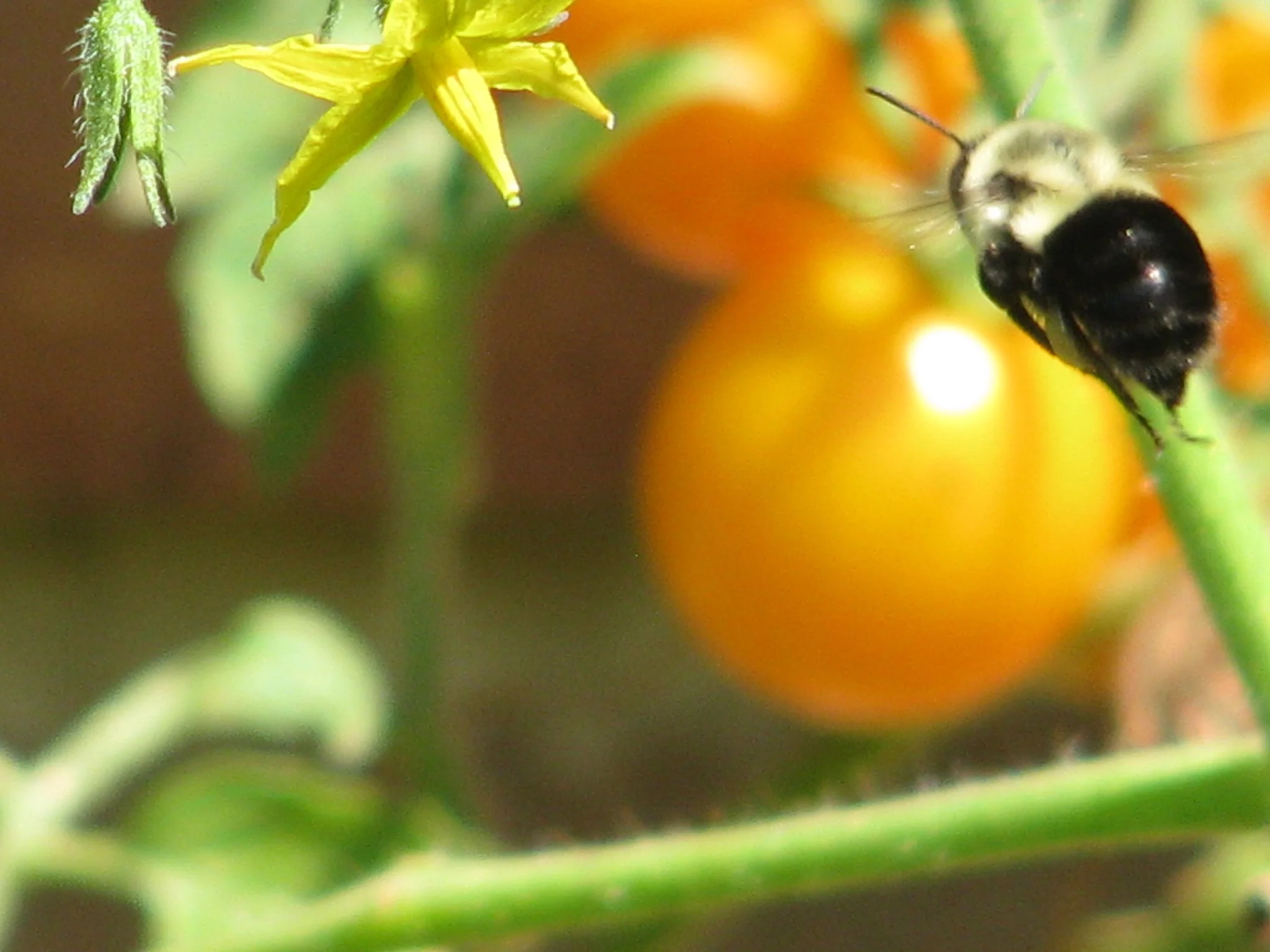 IMG_0306.webp