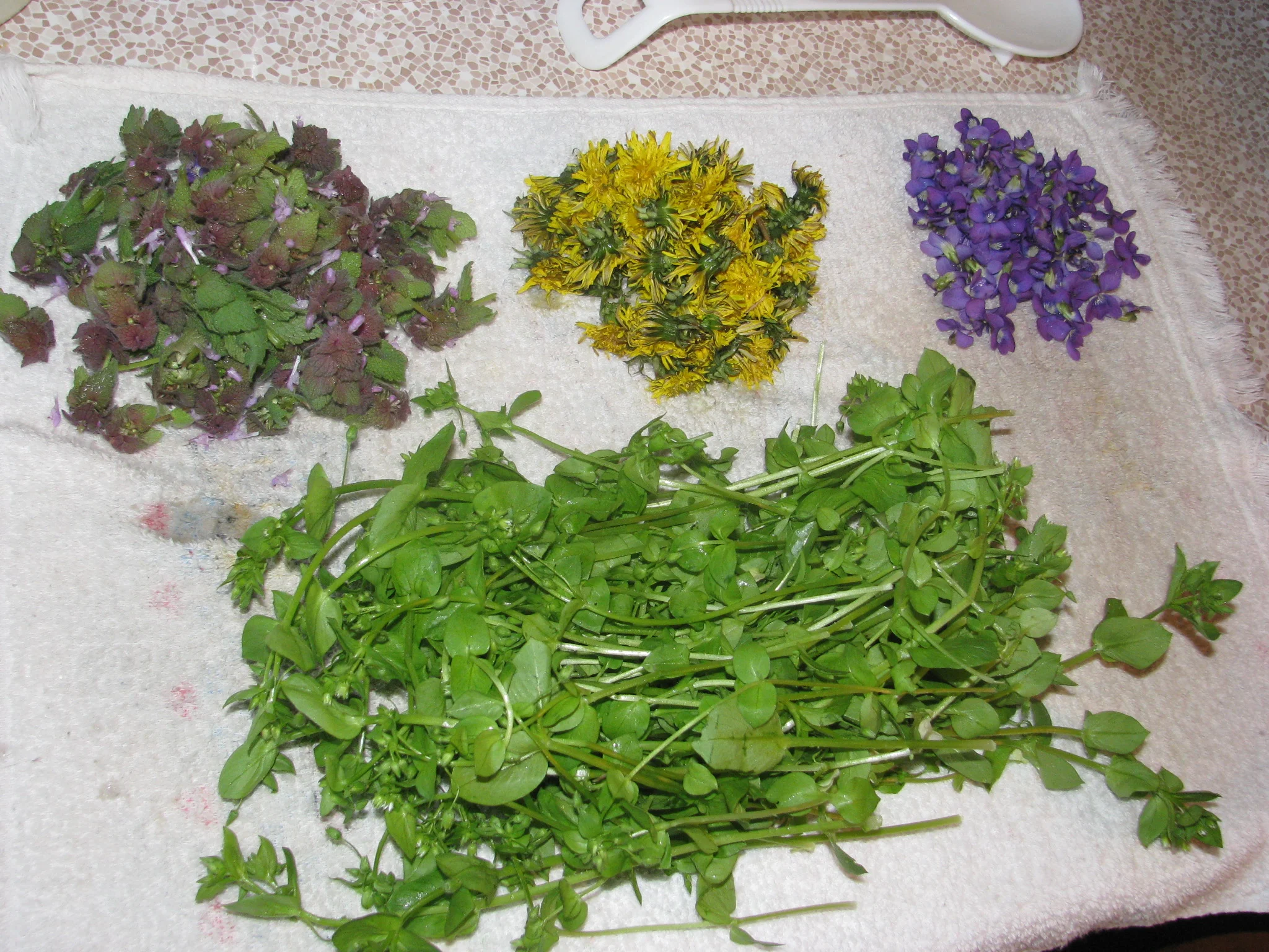 IMG_0737.webp