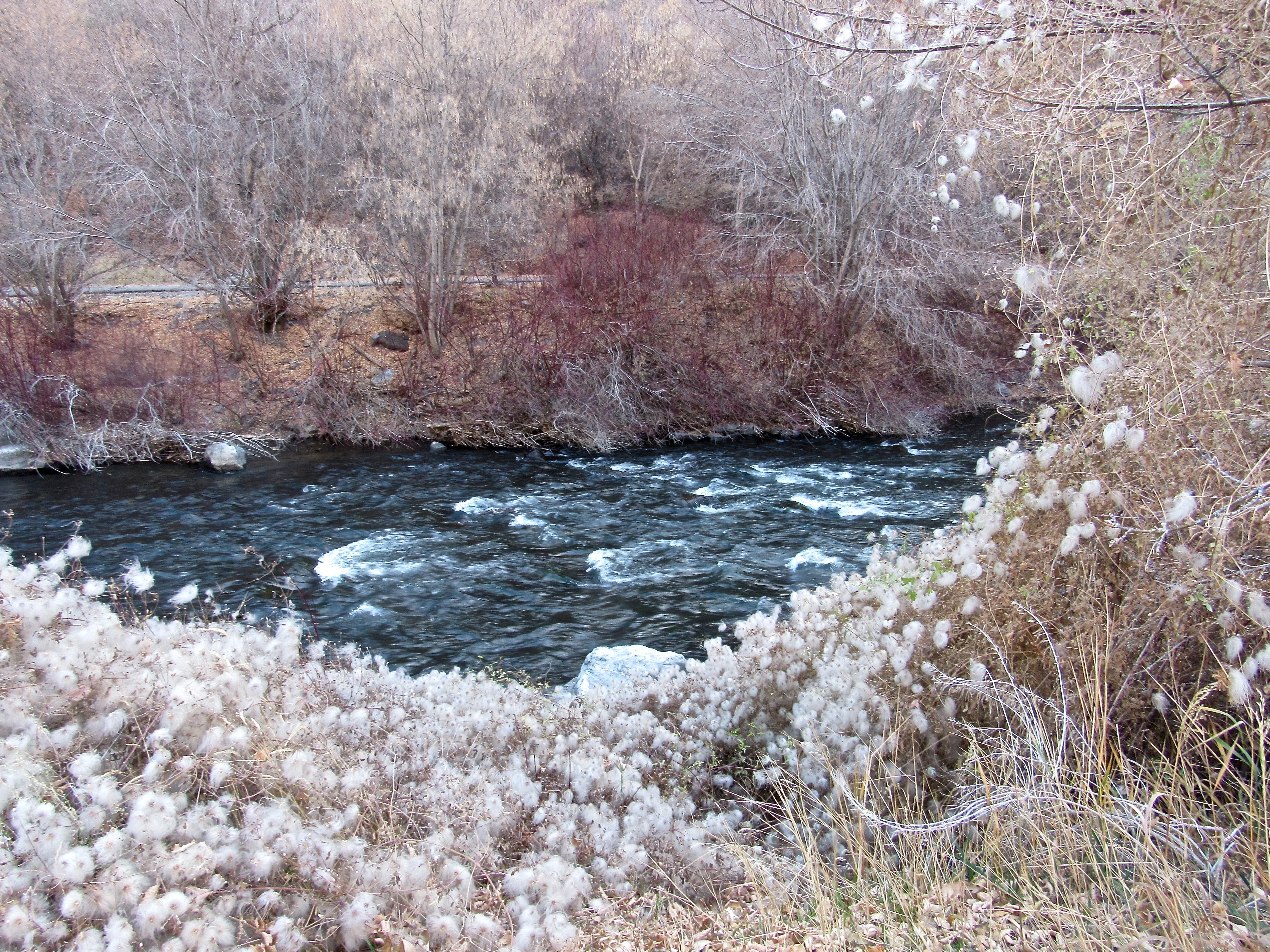 IMG_0856.webp