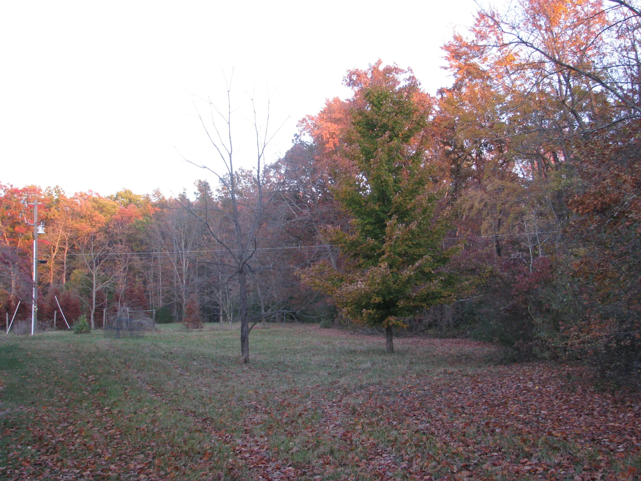 IMG_0989.webp