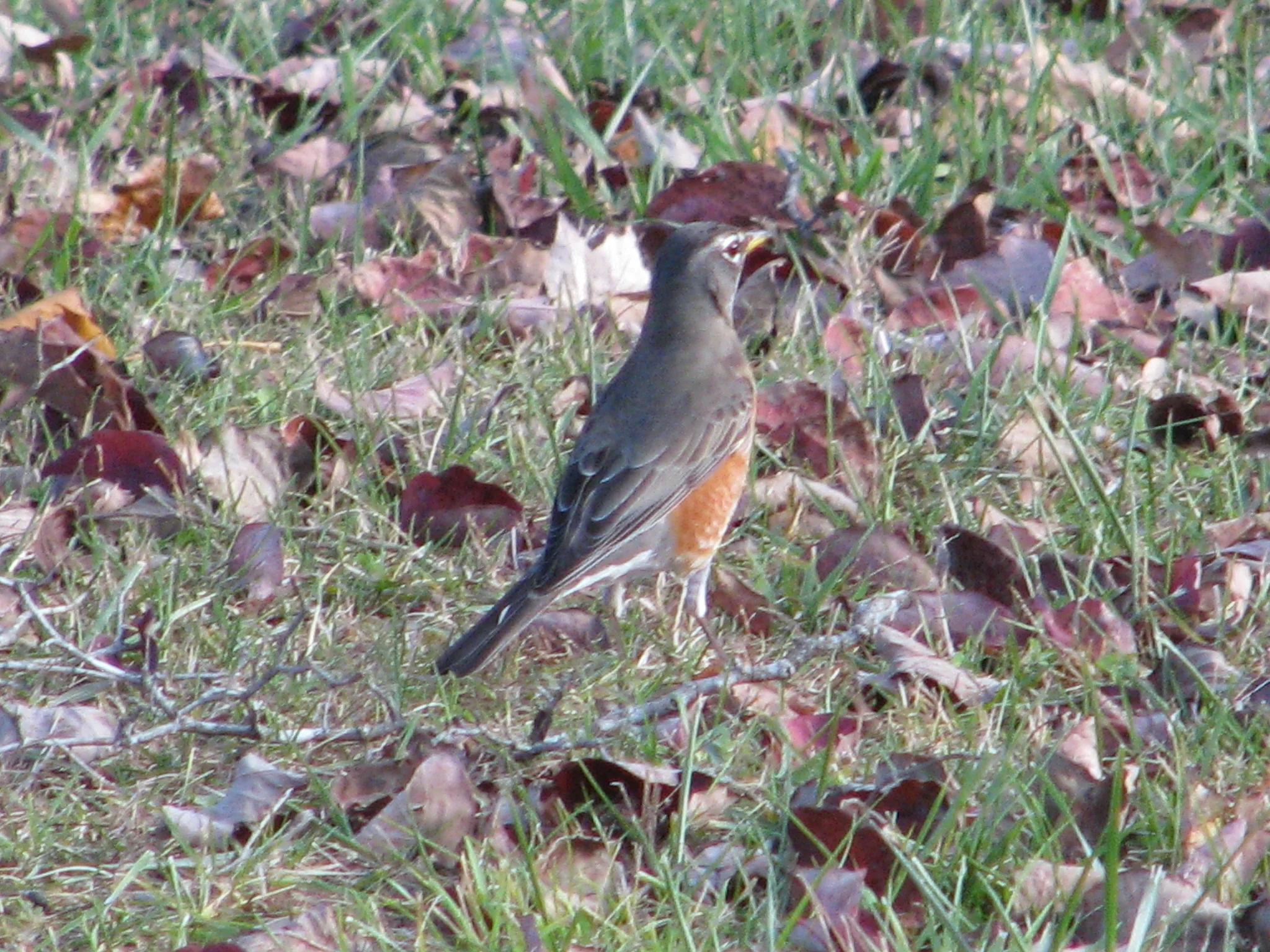 IMG_1059.webp