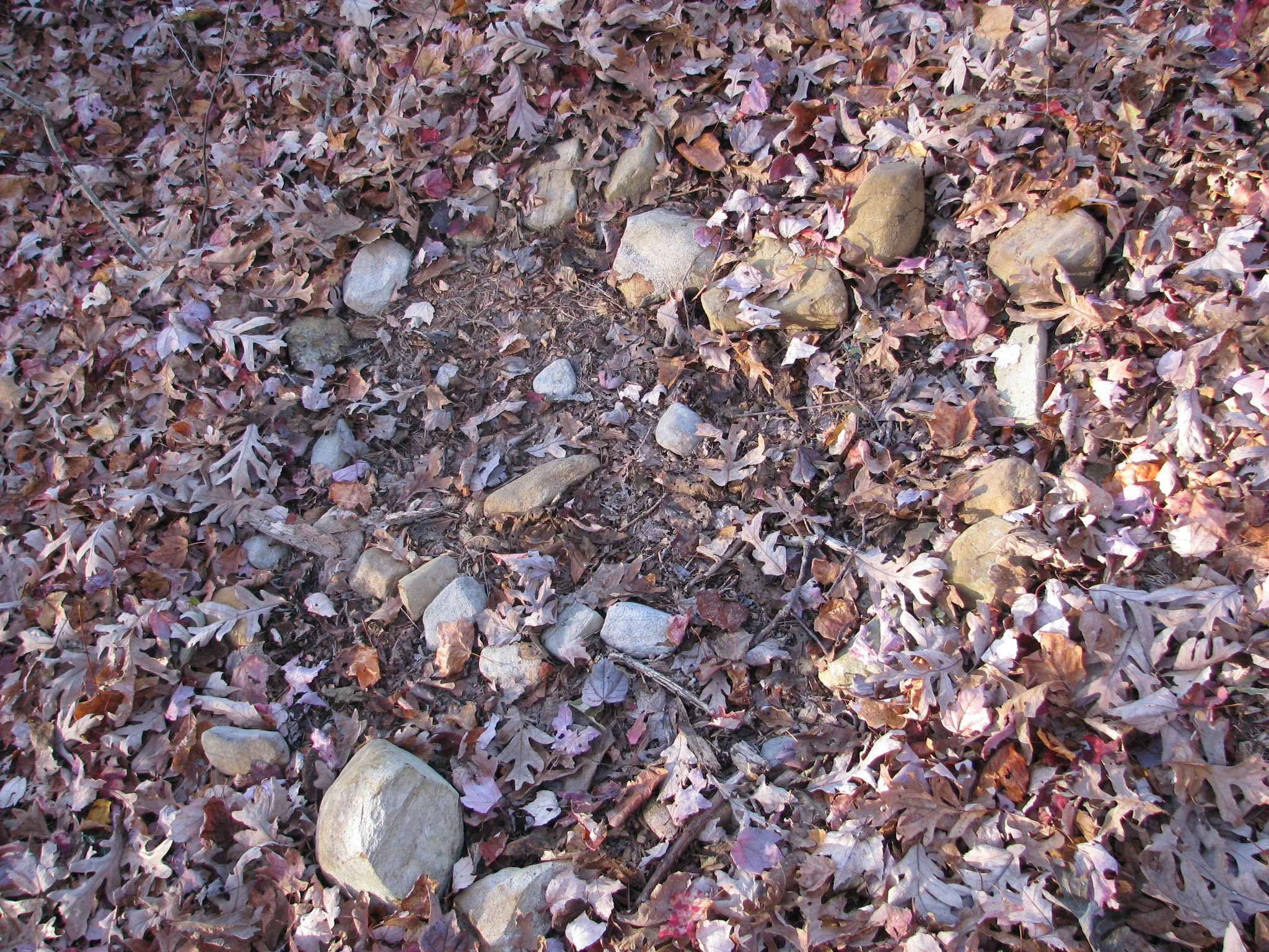 IMG_1097.webp