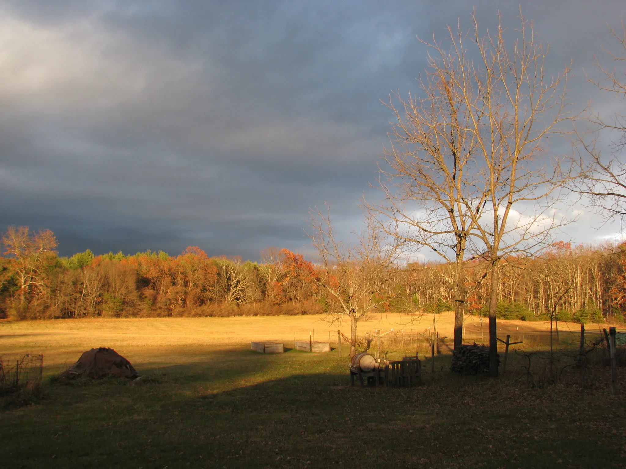 IMG_1135.webp