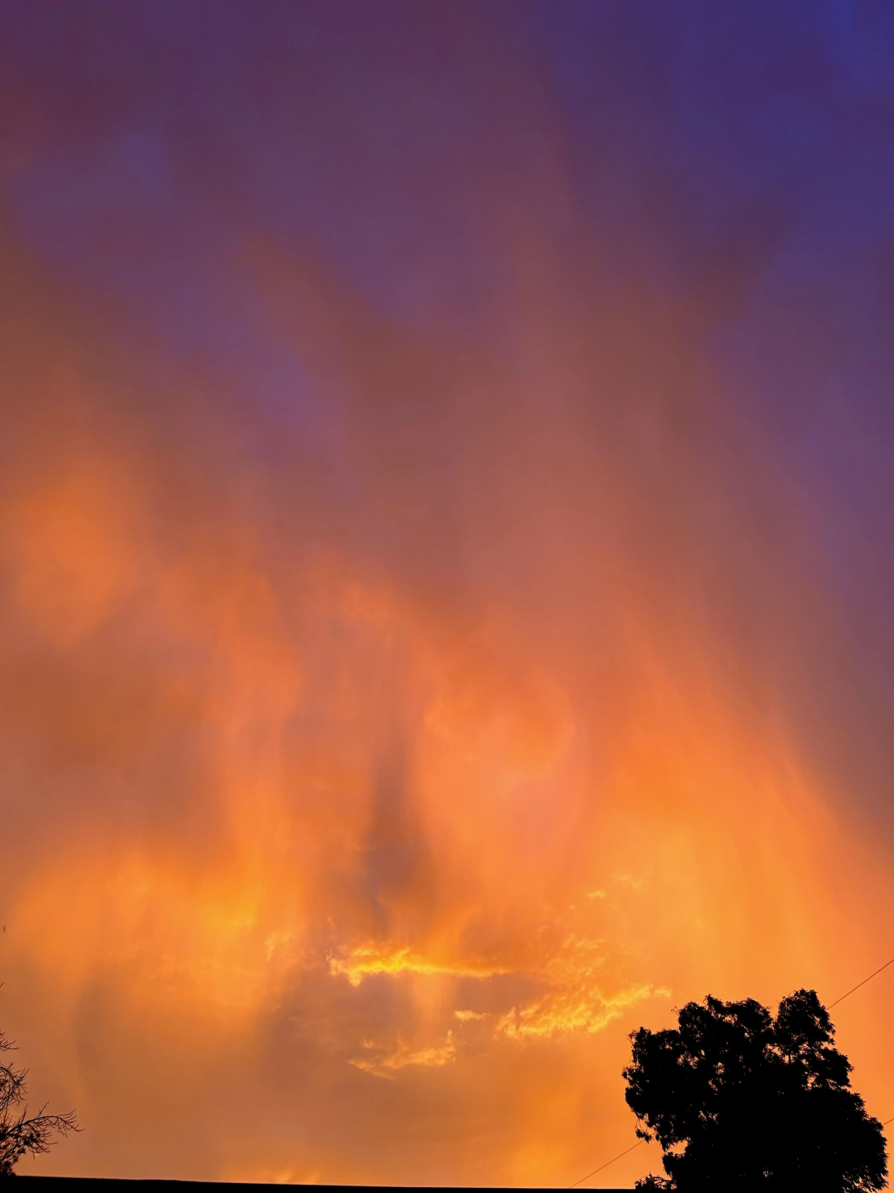 IMG_1141.webp