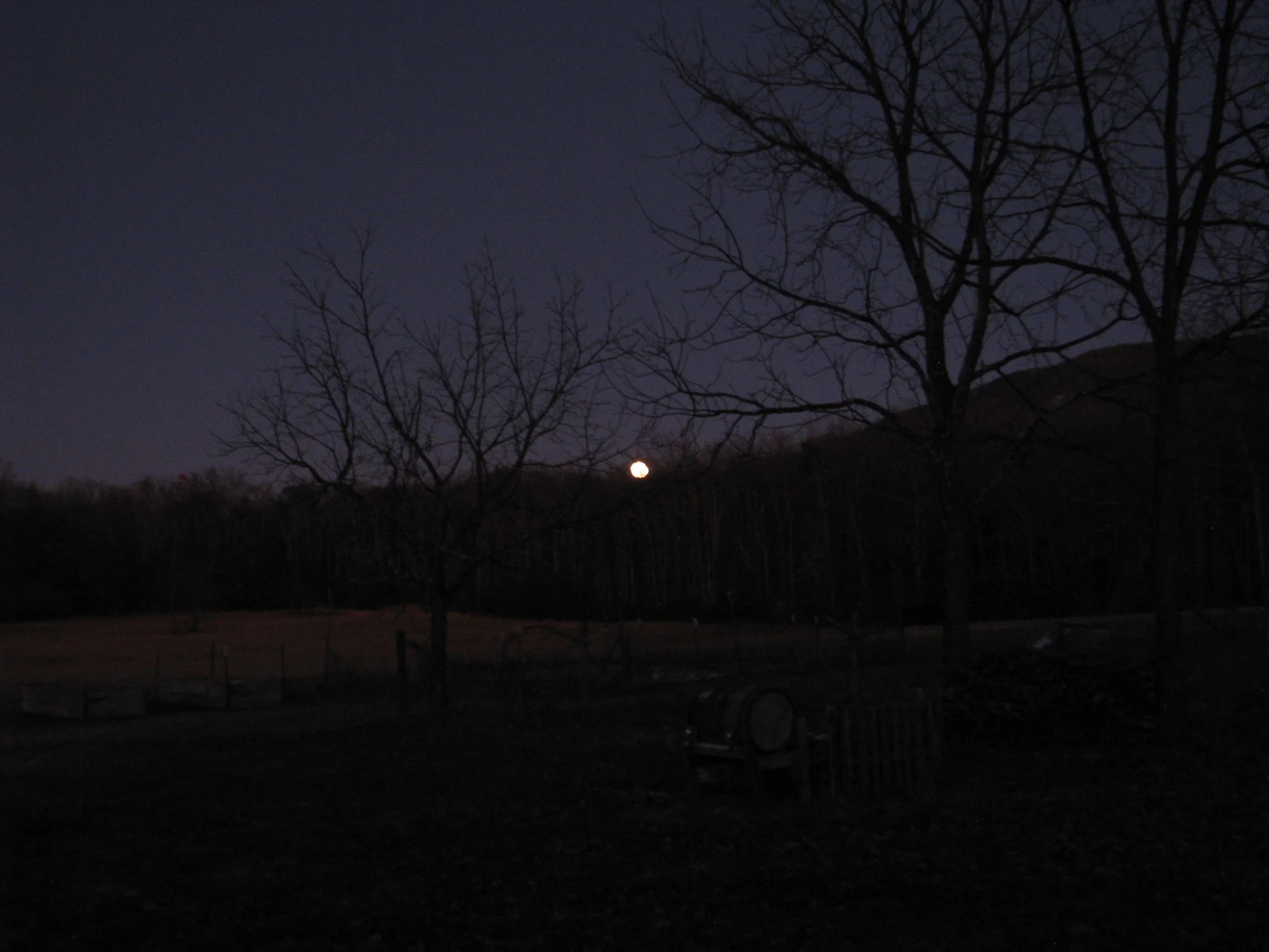 IMG_1217.webp
