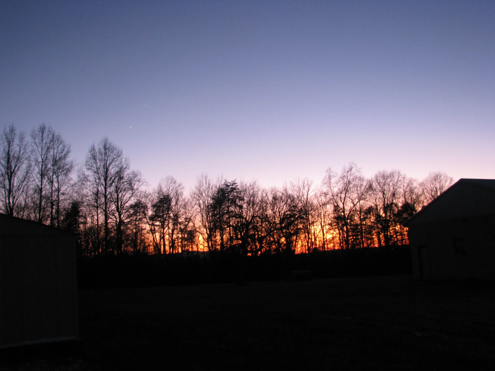 IMG_1222.webp