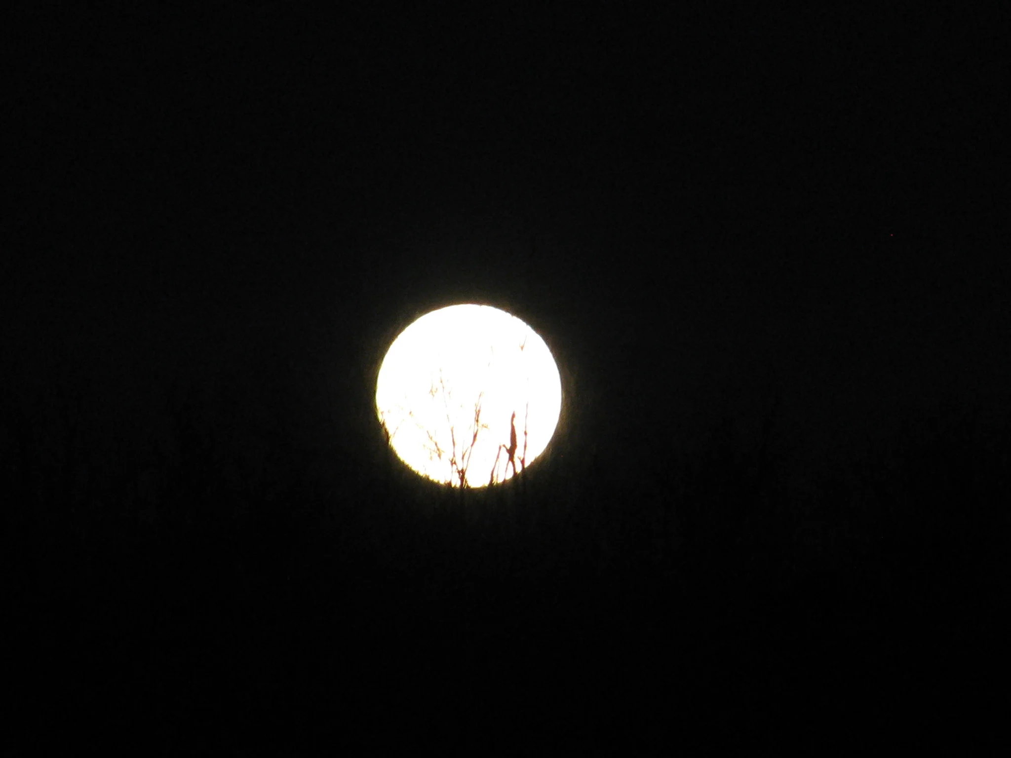 IMG_1224.webp