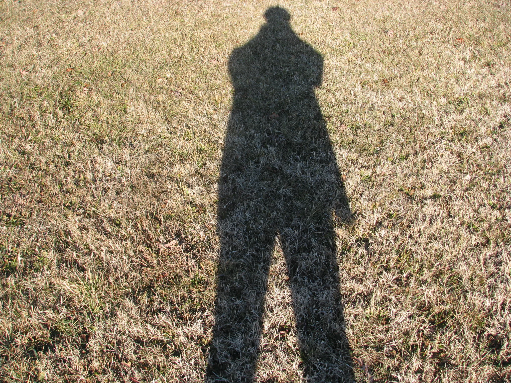 IMG_1287.webp