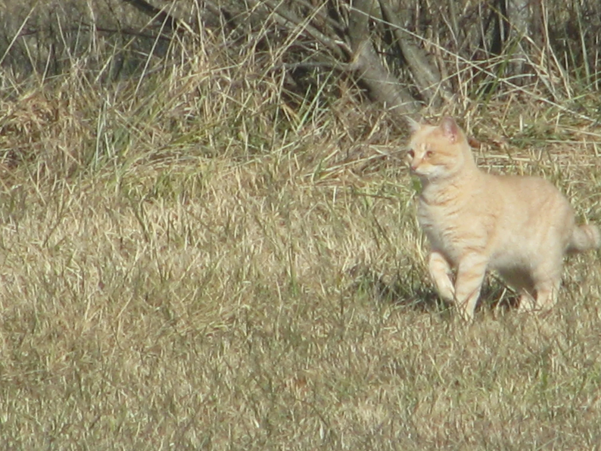 IMG_1293.webp