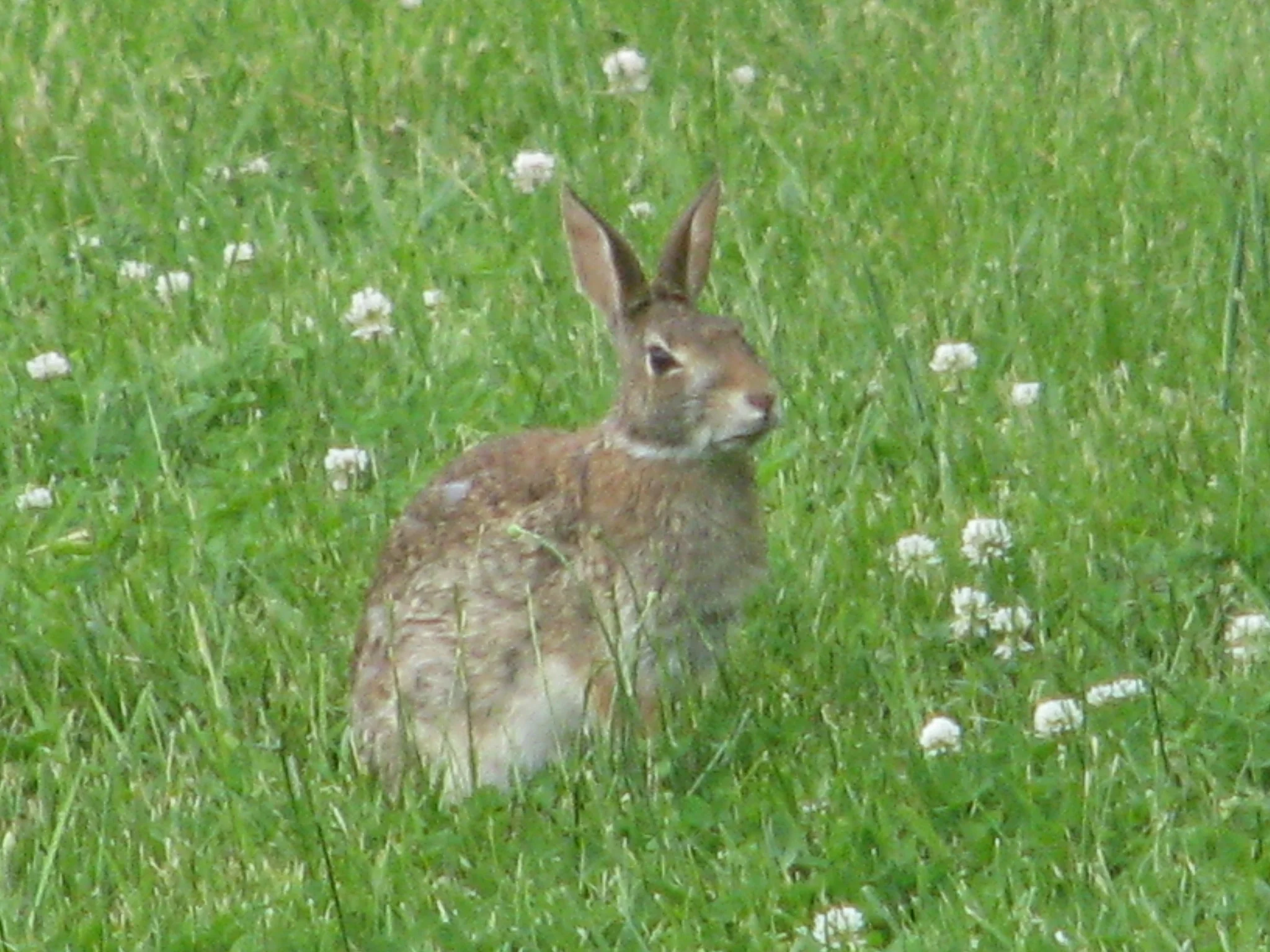 IMG_1417.webp